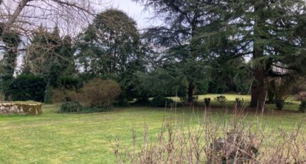 Cognac Maison neuve - 2384047-10974annonce120260107SKTfs.jpeg BERMAX Construction