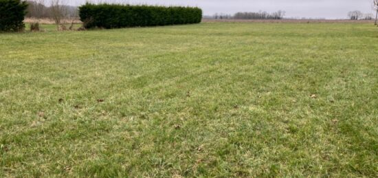 Terrain à bâtir à Mons, Nouvelle-Aquitaine