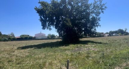 Saujon Maison neuve - 2383282-11452annonce220260106ZxrVI.jpeg BERMAX Construction