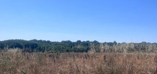 Terrain à bâtir à Meursac, Nouvelle-Aquitaine