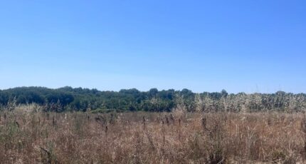 Meursac Maison neuve - 2423151-11452annonce120260209pbNUV.jpeg BERMAX Construction