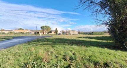 Pisany Maison neuve - 2437123-3362annonce120260223Dl6pz.jpeg BERMAX Construction