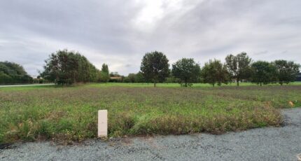 Mornac-sur-Seudre Maison neuve - 2416435-3362annonce120260203l9A1r.jpeg BERMAX Construction