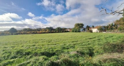 Saint-Palais-sur-Mer Maison neuve - 2437882-3362annonce120260223ySRHT.jpeg BERMAX Construction