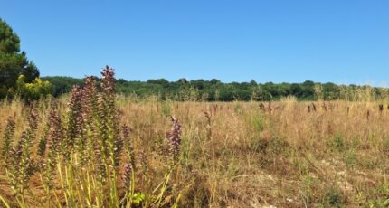 Meursac Terrain à bâtir - 2438113-3362annonce220260223vZvmK.jpeg BERMAX Construction