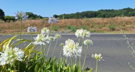 Meursac Terrain à bâtir - 2438217-3362annonce120260223qMzAP.jpeg BERMAX Construction