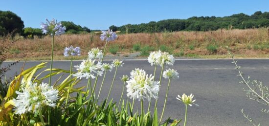 Terrain à bâtir à Meursac, Nouvelle-Aquitaine