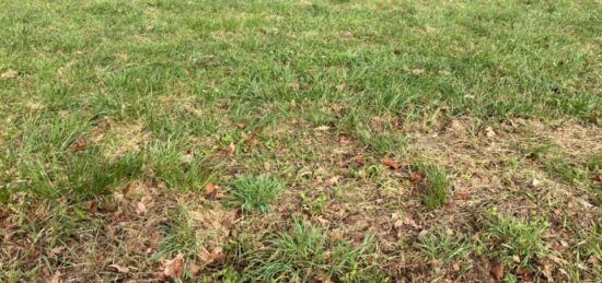 Terrain à bâtir à Saint-Georges-des-Coteaux, Nouvelle-Aquitaine