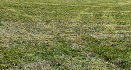 Corme-Royal Maison neuve - 2415453-10974annonce120260202BpDxg.jpeg BERMAX Construction