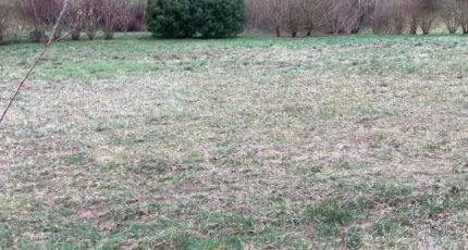 Saintes Maison neuve - 2445919-10974annonce120260303Ct4fu.jpeg BERMAX Construction