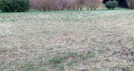 Saintes Maison neuve - 2445973-10974annonce120260303pHUTX.jpeg BERMAX Construction