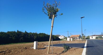 Saint-Yrieix-sur-Charente Maison neuve - 2455626-11800annonce320260312XxCk7.jpeg BERMAX Construction