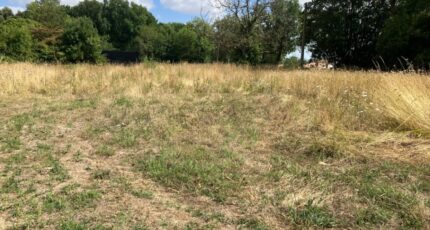 Archingeay Maison neuve - 2456009-10974annonce120260313gUt71.jpeg BERMAX Construction