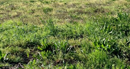 Mazerolles Terrain à bâtir - 2462546-10974annonce120260320eN2GS.jpeg BERMAX Construction