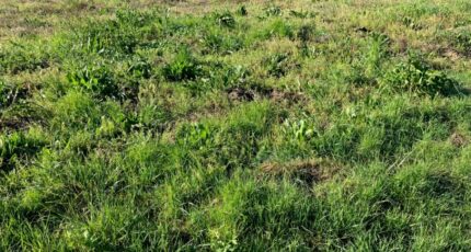 Chérac Maison neuve - 2462511-10974annonce120260320kKO92.jpeg BERMAX Construction