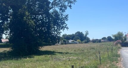 Médis Terrain à bâtir - 2465278-11452annonce220260324DZGog.jpeg BERMAX Construction