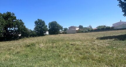 Médis Maison neuve - 2465297-11452annonce120260324laLiK.jpeg BERMAX Construction