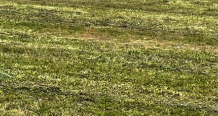 Vervant Terrain à bâtir - 2467155-10974annonce1202603256ESep.jpeg BERMAX Construction