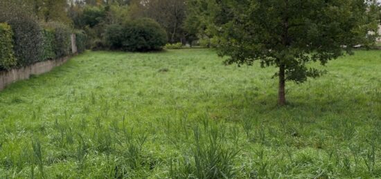 Terrain à bâtir à L'Isle-d'Espagnac, Nouvelle-Aquitaine