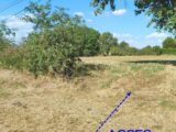 Terrain à bâtir à Ambernac (16490) 2692332-12007annonce220261027vQVAl.jpeg BERMAX Construction